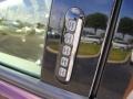 2006 Dark Cherry Metallic Ford Explorer Eddie Bauer  photo #10