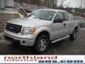 2010 Ingot Silver Metallic Ford F150 STX SuperCab 4x4  photo #2