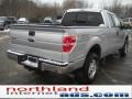 2010 Ingot Silver Metallic Ford F150 XLT SuperCab 4x4  photo #6