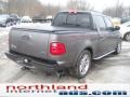 Dark Shadow Grey Metallic - F150 Harley-Davidson SuperCrew Photo No. 6