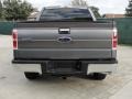 2010 Sterling Grey Metallic Ford F150 XLT SuperCrew  photo #4