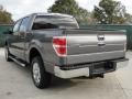 2010 Sterling Grey Metallic Ford F150 XLT SuperCrew  photo #5