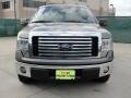 2010 Sterling Grey Metallic Ford F150 XLT SuperCrew  photo #8