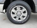 2010 Sterling Grey Metallic Ford F150 XLT SuperCrew  photo #10