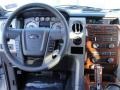2010 Ingot Silver Metallic Ford F150 Lariat SuperCrew  photo #25