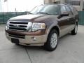 Golden Bronze Metallic 2011 Ford Expedition EL King Ranch Exterior