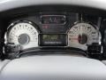 Chaparral Leather Gauges Photo for 2011 Ford Expedition #41608341