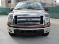 Golden Bronze Metallic 2011 Ford F150 XLT SuperCrew Exterior