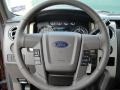 Pale Adobe Steering Wheel Photo for 2011 Ford F150 #41608781