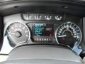 Pale Adobe Gauges Photo for 2011 Ford F150 #41608809