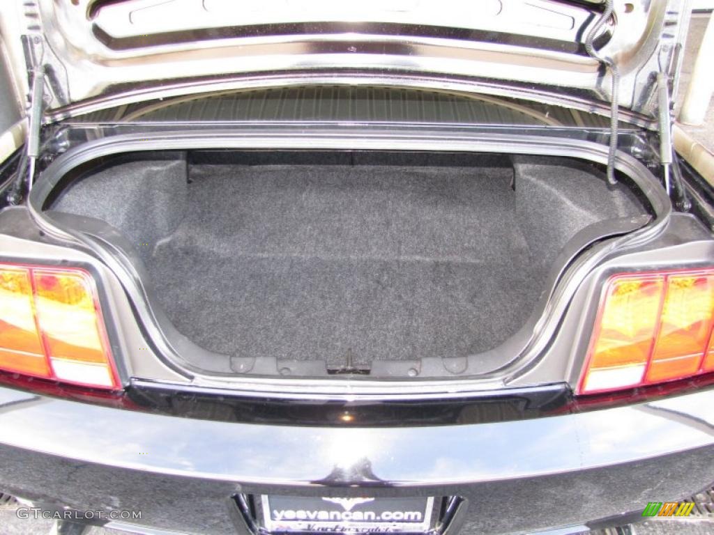 2008 Ford Mustang GT Deluxe Coupe Trunk Photo #41611032