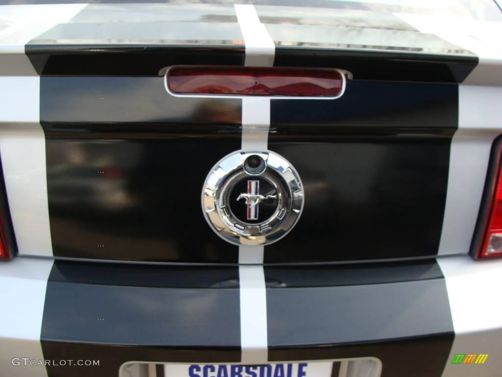 2008 Mustang V6 Premium Coupe - Brilliant Silver Metallic / Light Graphite photo #22
