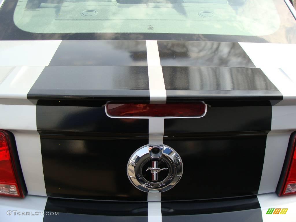 2008 Mustang V6 Premium Coupe - Brilliant Silver Metallic / Light Graphite photo #23