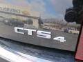 Black Raven - CTS Sedan Photo No. 10