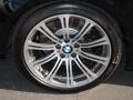 2009 BMW M3 Coupe Wheel and Tire Photo