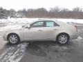 Gold Mist - CTS Sedan Photo No. 1