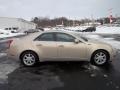 Gold Mist - CTS Sedan Photo No. 7