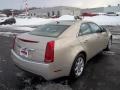 Gold Mist - CTS Sedan Photo No. 9