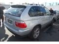 2005 Titanium Silver Metallic BMW X5 4.4i  photo #3