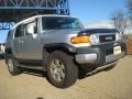 Titanium Metallic - FJ Cruiser 4WD Photo No. 6