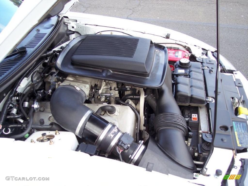 2004 Ford Mustang Mach 1 Coupe 4.6 Liter DOHC 32-Valve V8 Engine Photo #41626762