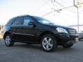 Black - ML 350 4Matic Photo No. 3