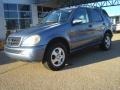 2004 Platinum Blue Metallic Mercedes-Benz ML 350 4Matic  photo #2