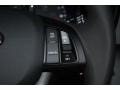 Platinum Graphite - Optima EX Photo No. 29