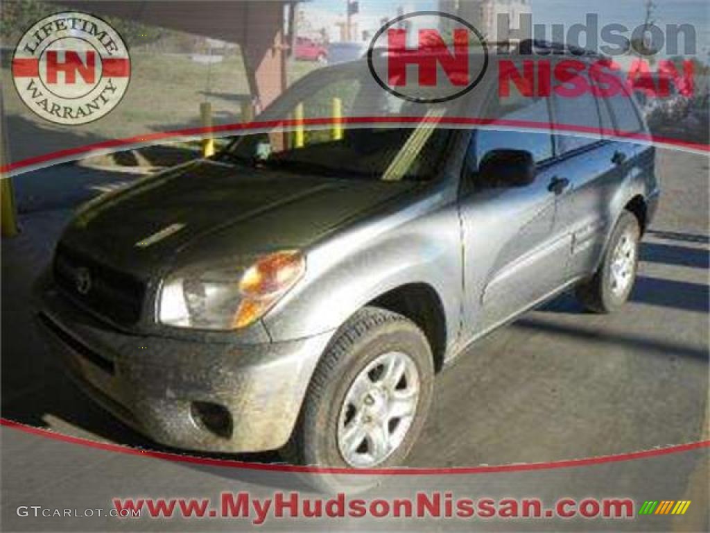 2005 RAV4  - Titanium Metallic / Taupe photo #1