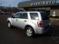 2010 Ingot Silver Metallic Ford Escape XLT 4WD  photo #2