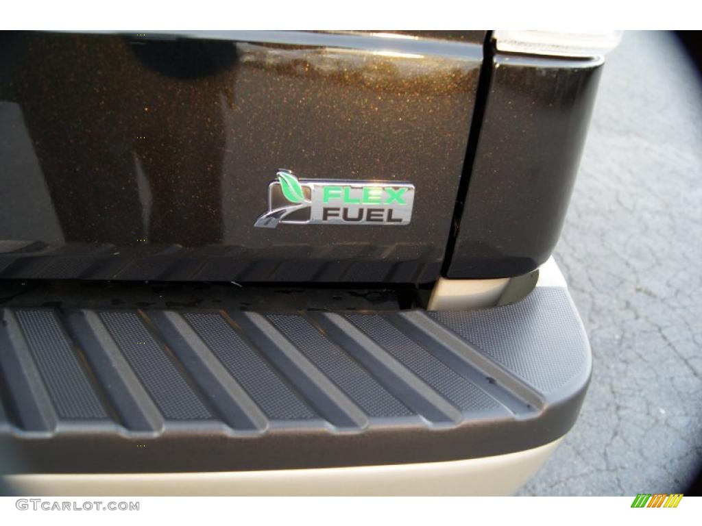 2010 F150 King Ranch SuperCrew 4x4 - Tuxedo Black / Chapparal Leather photo #19