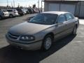 Sandrift Metallic - Impala  Photo No. 1