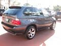 Steel Grey Metallic 2002 BMW X5 4.4i Exterior