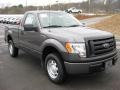 2011 Sterling Grey Metallic Ford F150 XL Regular Cab 4x4  photo #4