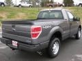 2011 Sterling Grey Metallic Ford F150 XL Regular Cab 4x4  photo #6