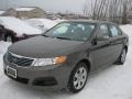 2010 Metal Bronze Kia Optima LX  photo #1