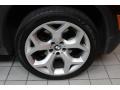 Black Sapphire Metallic - X5 4.8i Photo No. 8
