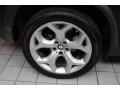 Black Sapphire Metallic - X5 4.8i Photo No. 9