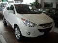 2010 Cotton White Hyundai Tucson Limited  photo #1