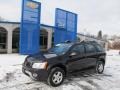 Purple Haze Metallic 2007 Pontiac Torrent AWD