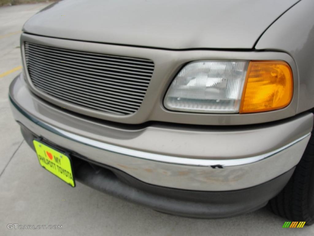 2004 F150 XLT Heritage SuperCab - Arizona Beige Metallic / Heritage Medium Parchment photo #11