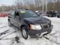 2007 Purple Haze Metallic Pontiac Torrent AWD  photo #10