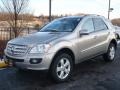 2006 Pewter Metallic Mercedes-Benz ML 500 4Matic  photo #1