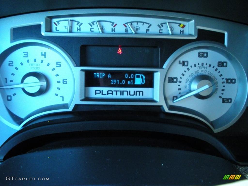 2010 F150 Platinum SuperCrew 4x4 - Ingot Silver Metallic / Sienna Brown Leather/Black photo #9