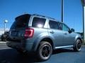 2011 Steel Blue Metallic Ford Escape XLT Sport V6  photo #3