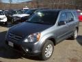 Pewter Pearl - CR-V SE 4WD Photo No. 21
