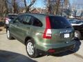 2007 Green Tea Metallic Honda CR-V EX 4WD  photo #2