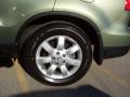 2007 Green Tea Metallic Honda CR-V EX 4WD  photo #9