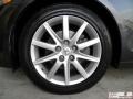 Flint Gray Mica - GS 300 Photo No. 21
