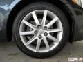 Flint Gray Mica - GS 300 Photo No. 31
